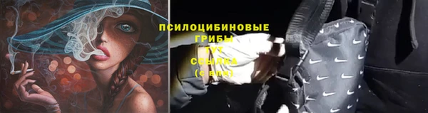 гидропоника Пролетарск