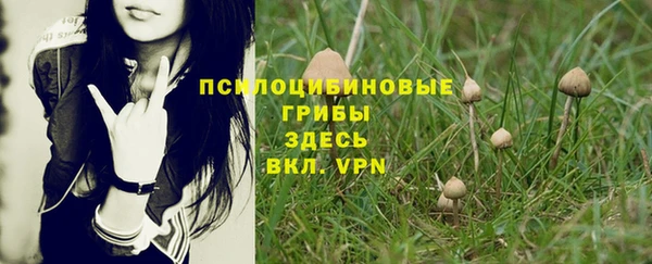 гидропоника Пролетарск