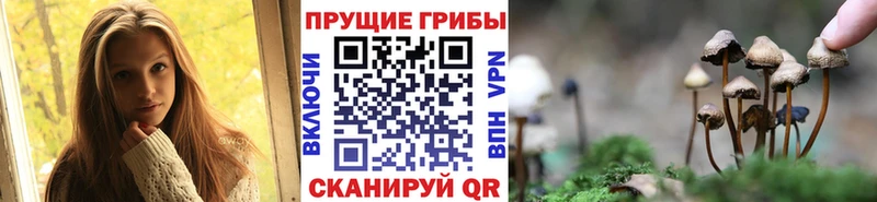 даркнет сайт  KRAKEN вход  Галлюциногенные грибы мухоморы  Дальнереченск 