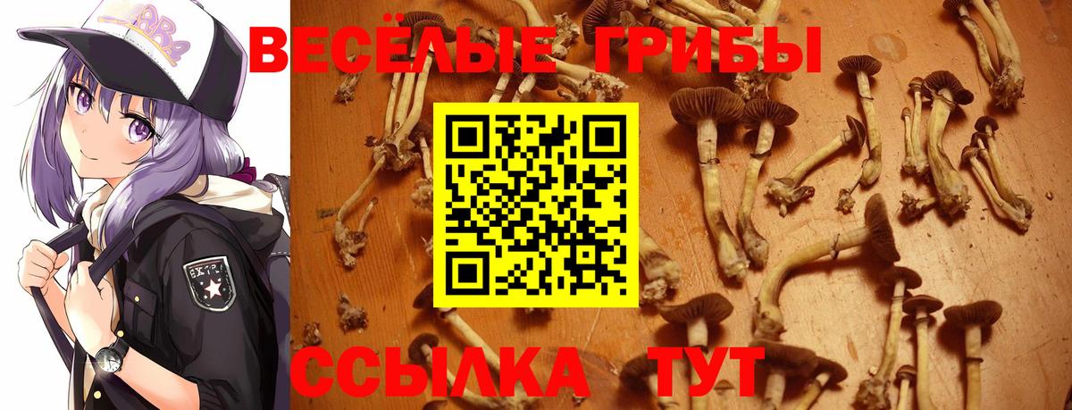Псилоцибиновые грибы мухоморы Дальнереченск