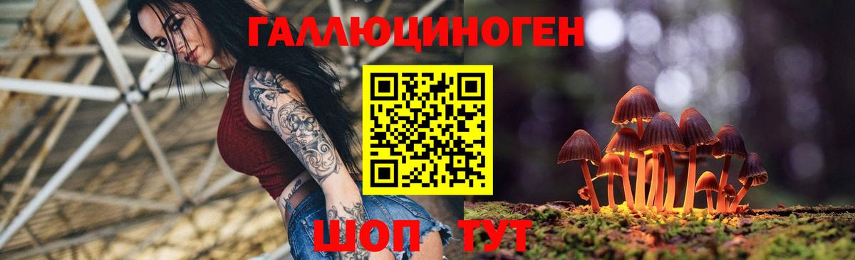 дарнет шоп  Вход с VPN  Дальнереченск  Псилоцибиновые грибы прущие грибы 